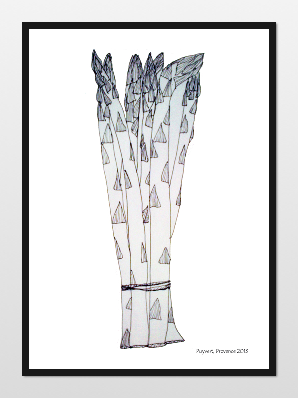 asparagus sketch
