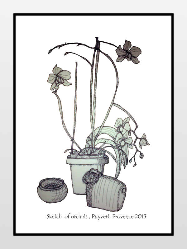Sketch of orchids