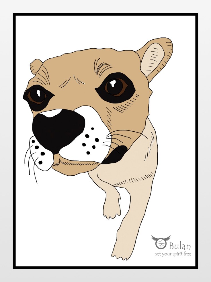 Sketch of Bao Bao, the chinese dog