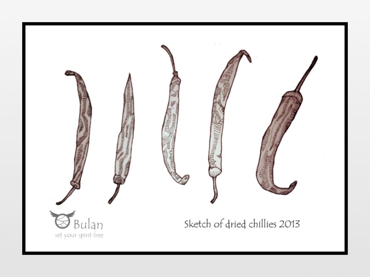 Setch of dried chillis