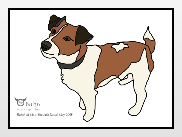 Sketch of the day no 20: Milo the Jack Russel