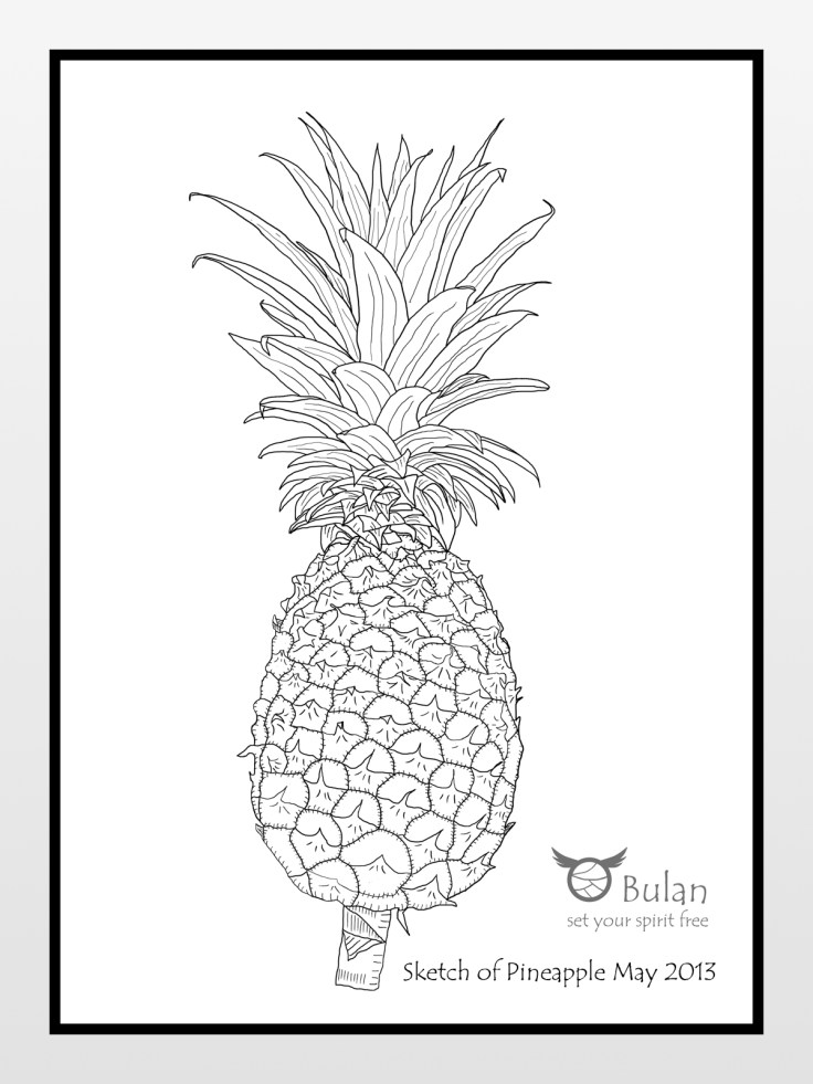 Sketch of Pineapple