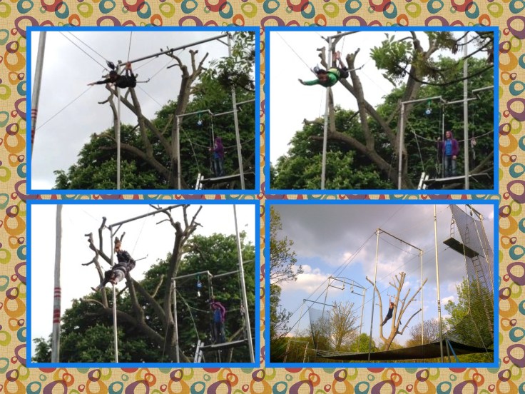 Monkeys at the circus