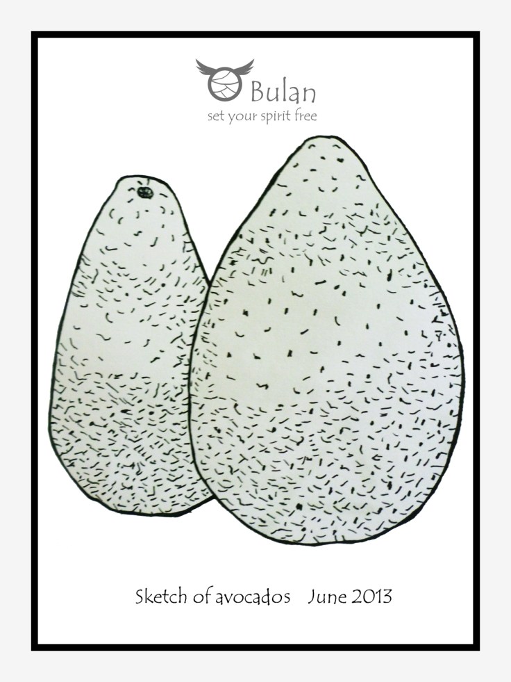 Sketch of avocados