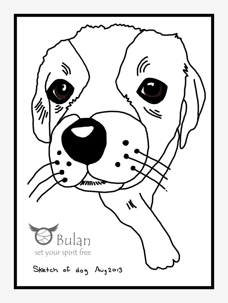 Sketch of Dougie the dog