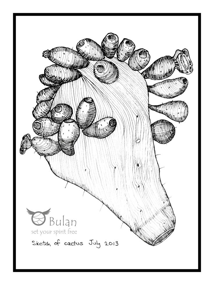 Sketch of cactus