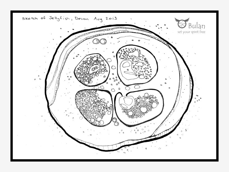 Sketch of Jellyfish