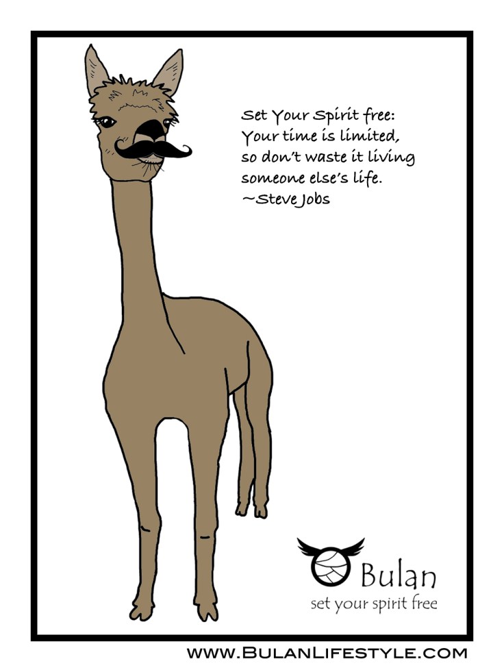 Al the Alpaca with moustache