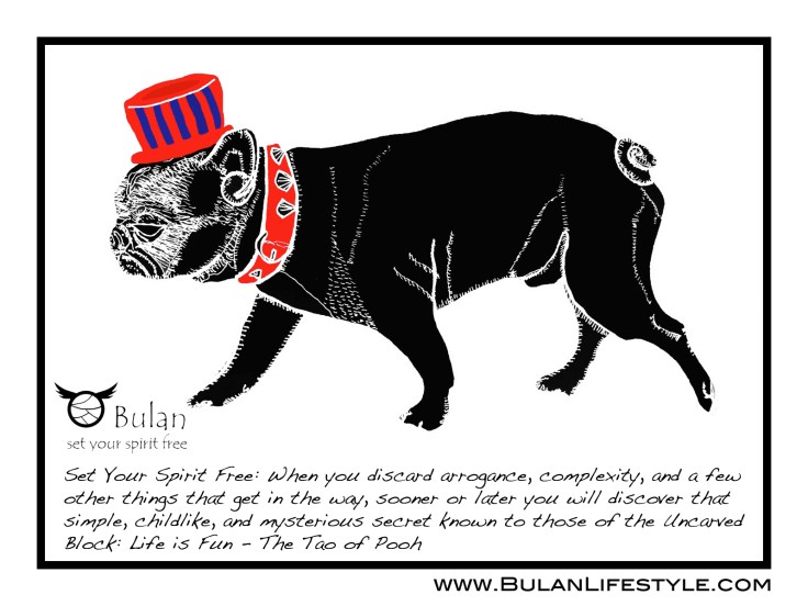 Francois the French Bulldog