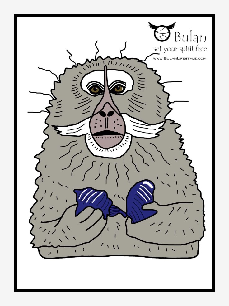 Long tailed Macaque monkey in colour