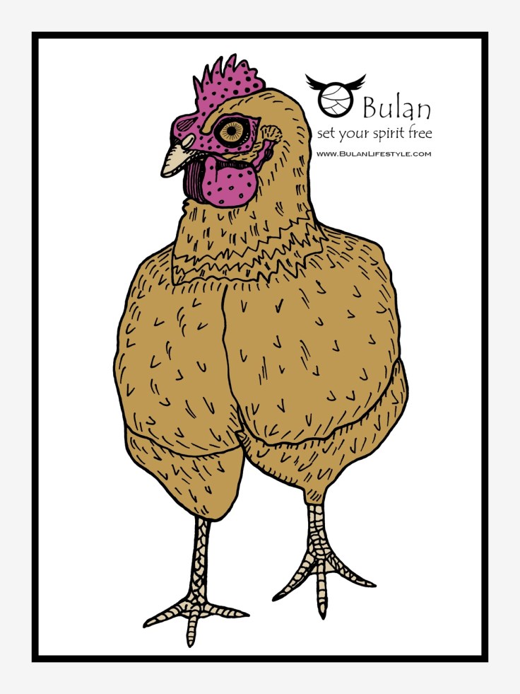 Roy the rooster in Colour