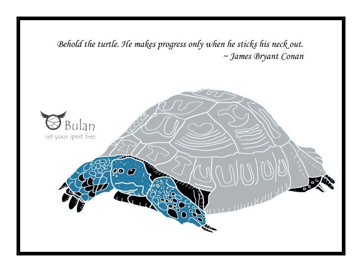 Tort the tortoise in colour