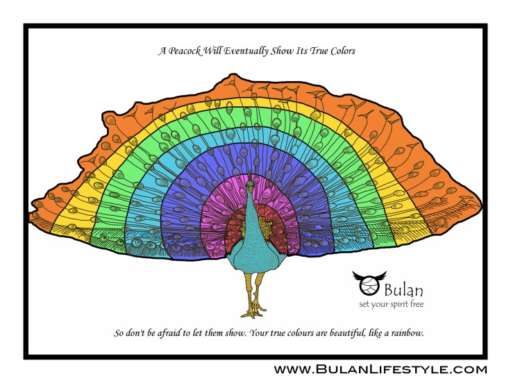 Peter the Peacock in full technicolour