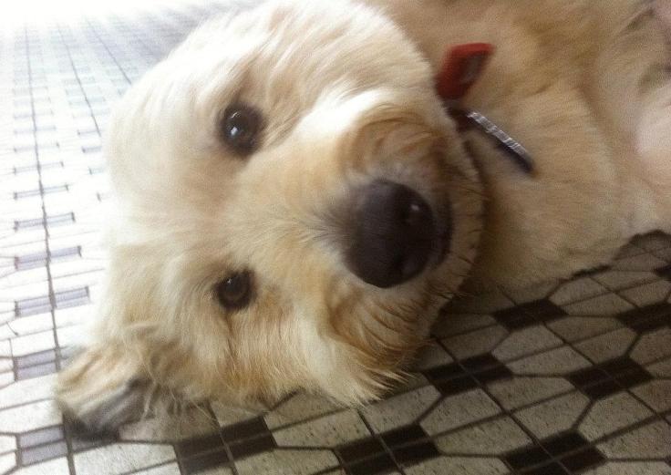 574634_10151559608185607_384403562_n