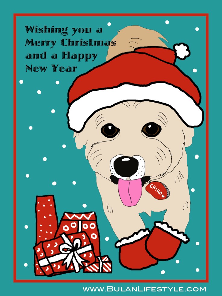 Chiko the dog Santa