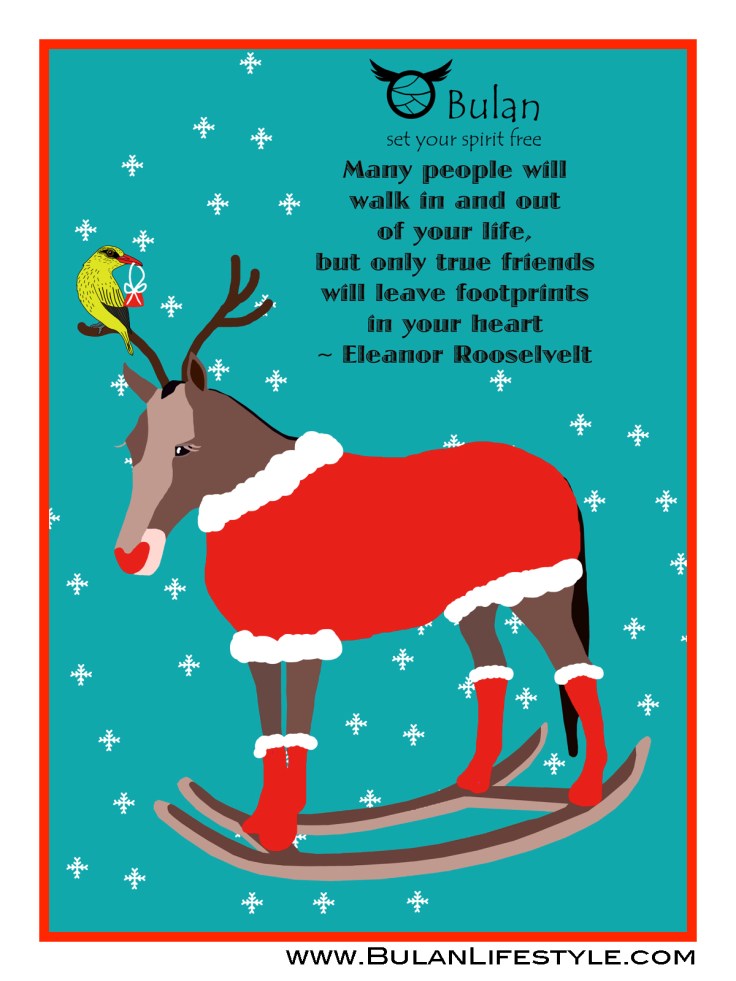 Camisetta the wooden horse and KipKip the bird