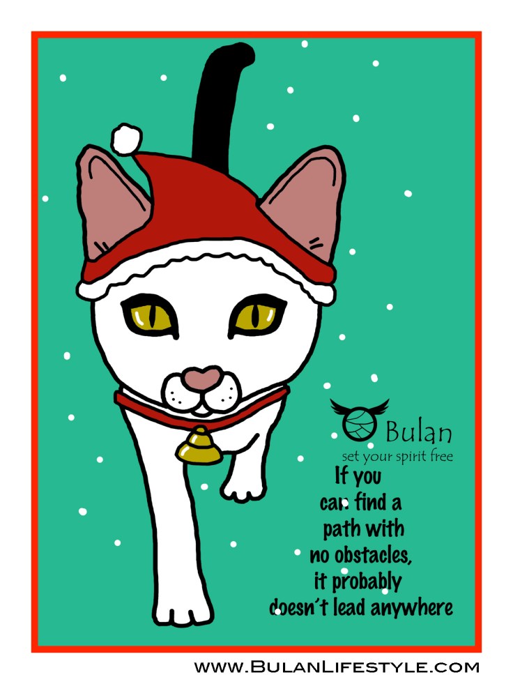 Casper the Santa cat