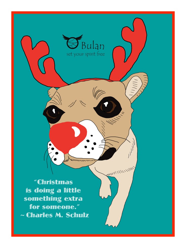 Bao bao the red nose reindee