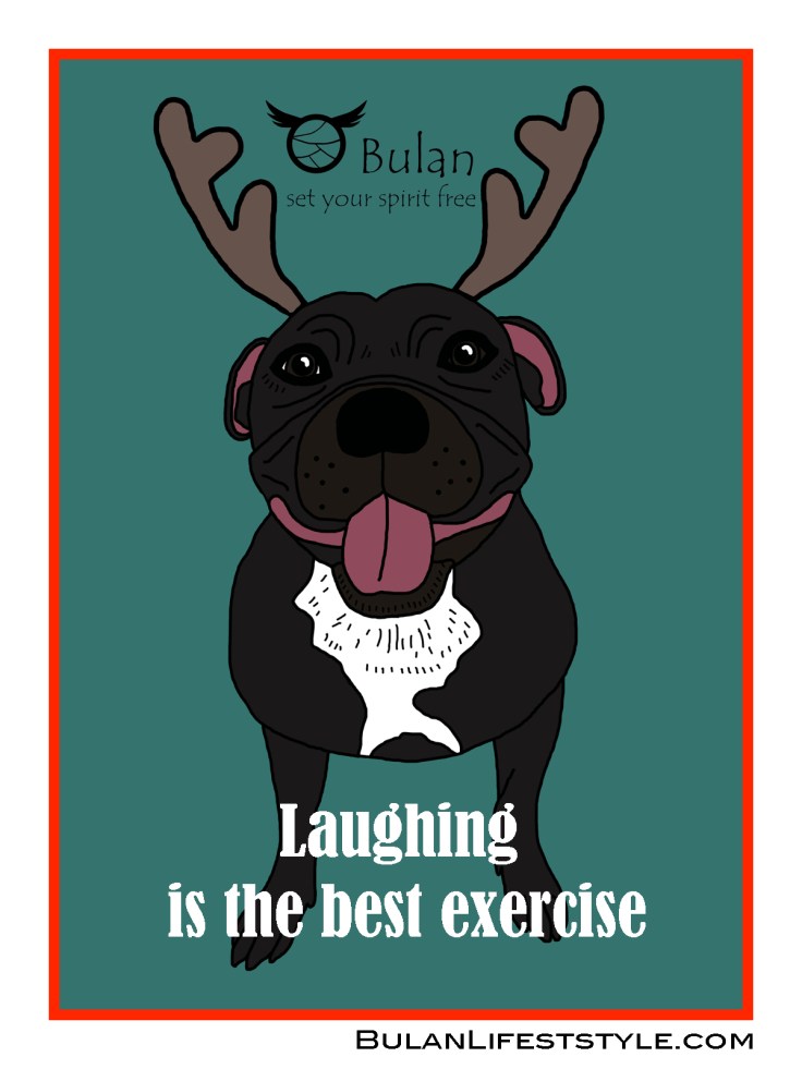 Monty the Straffordshire bull terrier