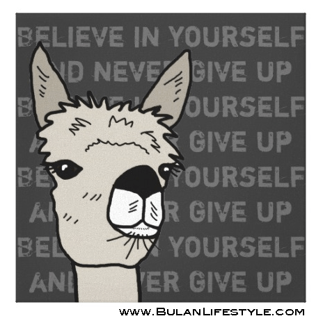 Believe in yourself and never give up