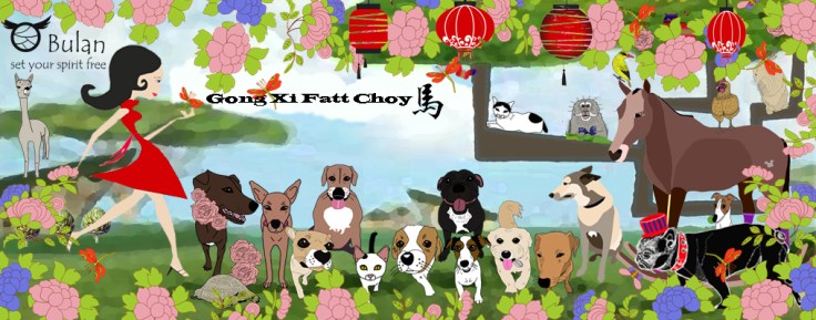 Kong xi fatt choy 2014