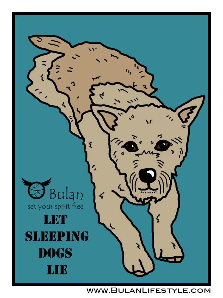 Let sleeping dogs lie