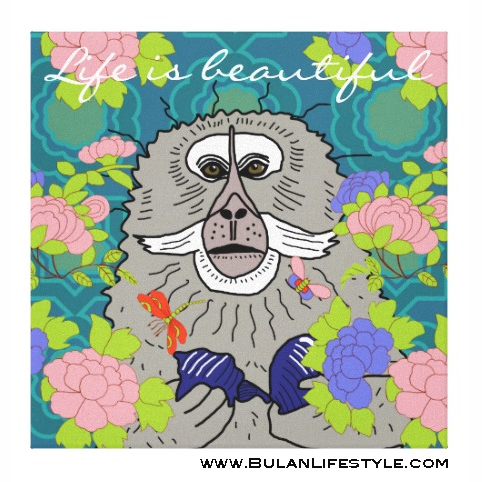 Marcel the cheeky monkey