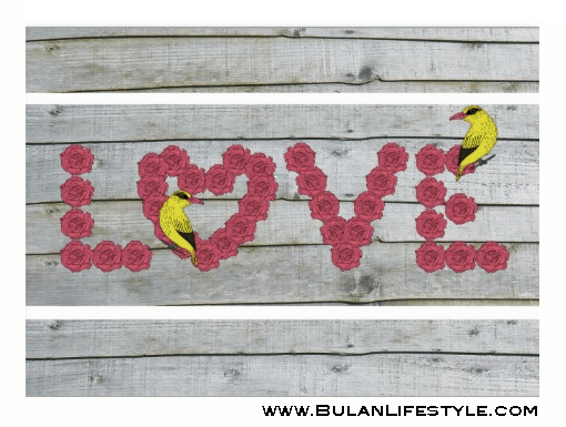 Happy Valentine's Day