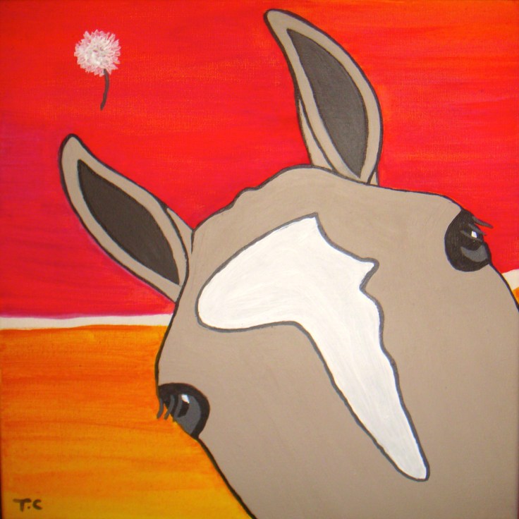 Dreaming of a better place. Lilo and dandelion