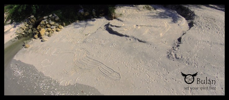 Follow me says StewART, beach art