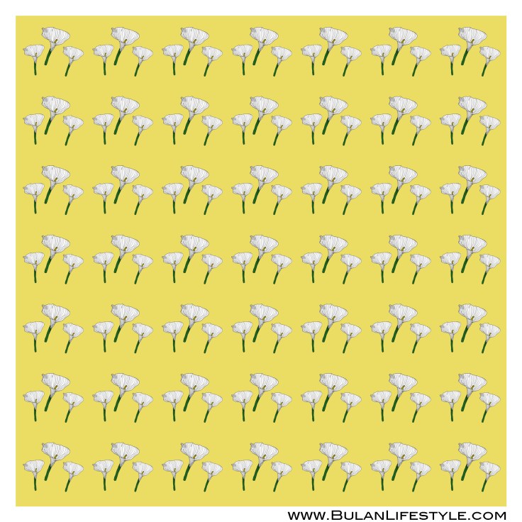 Easter Lily Pattern