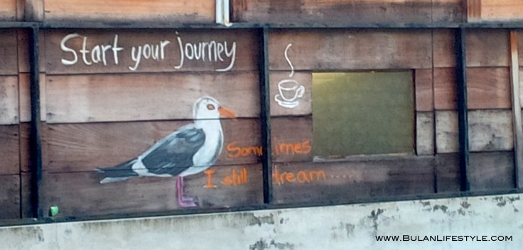steART the inspirational seagull at Gustos cafe