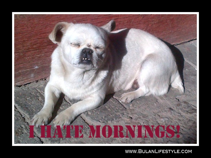 I hate mornings