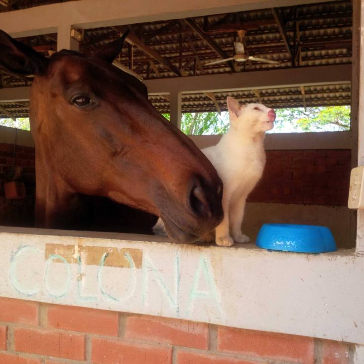 886185_10152026155375808_1877244679_o