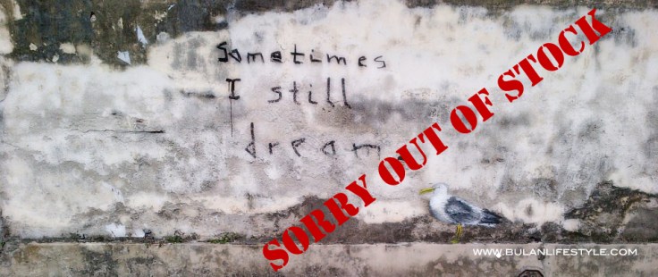 Sometimes I still dream...