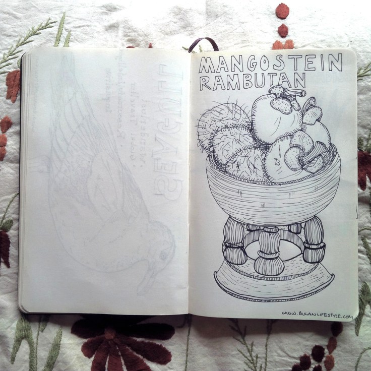 Sketch of Mangostein and Rambutan in a bowl
