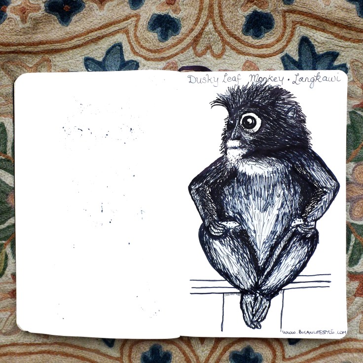 Harry the Dusky Leaf Monkey