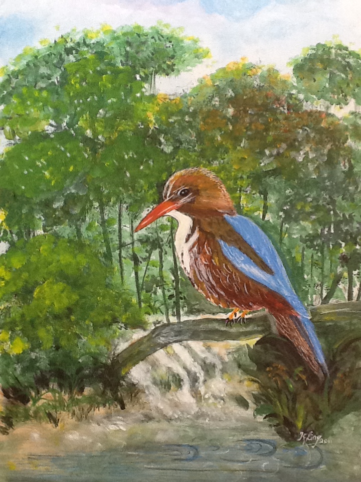 kingfisher painting, bird art