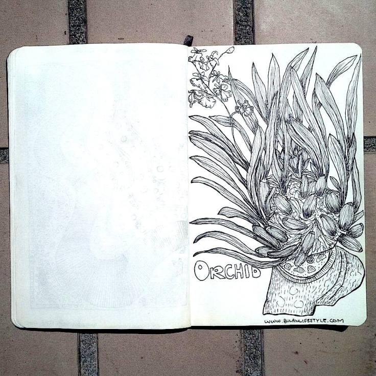 Sketch of Orchid