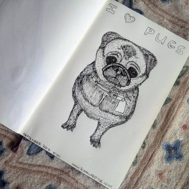 I love Pugs