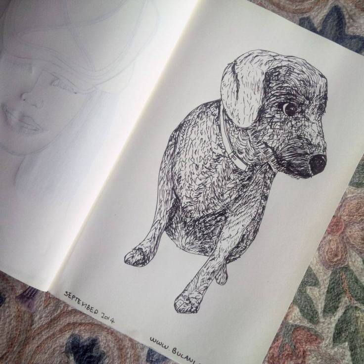 sketch dog