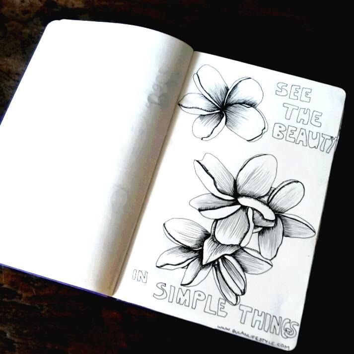 Botanical illustration. Frangipani flower in Bali