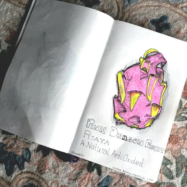 Pink dragonfruit illustration