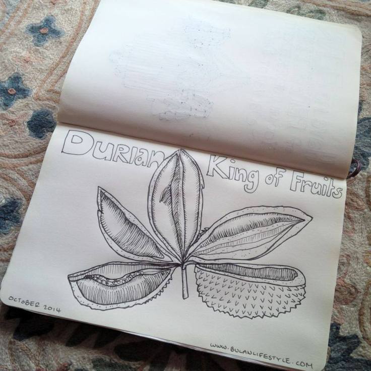 Durian drawing