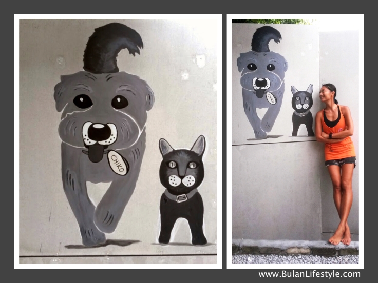 Chiko the dog and Merlin the cat animal street art
