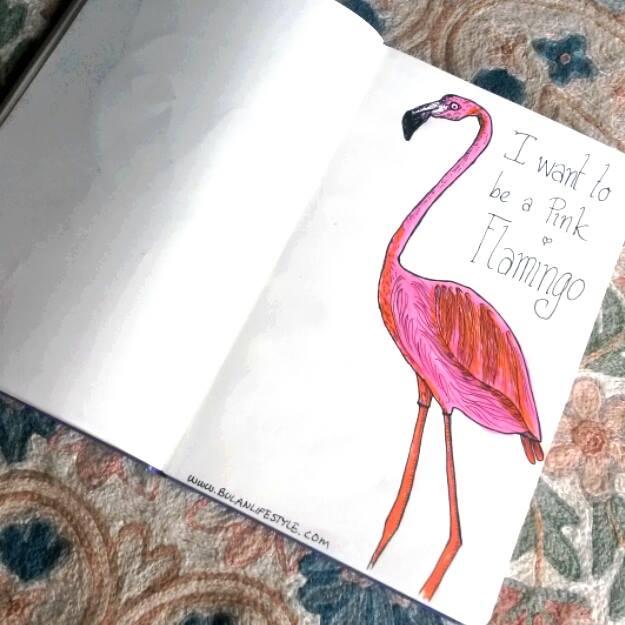 pink flamingo sketch
