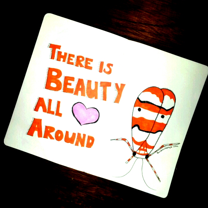 there is beauty all around us