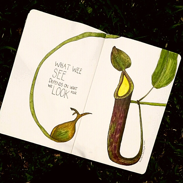 IMG_20150307_141734.jpg image