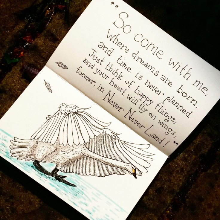 IMG_20150408_122541.jpg image