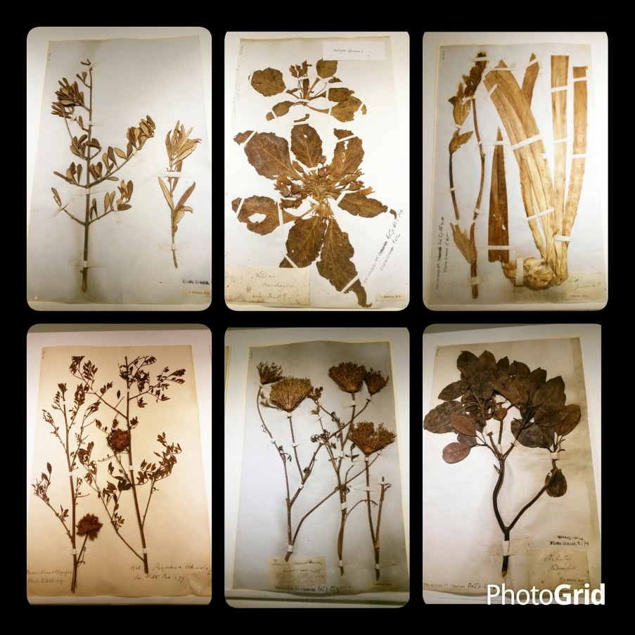 IMG_20150414_180151.jpg image